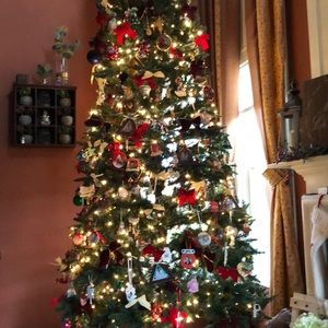 Meet your Posher, Cassandra